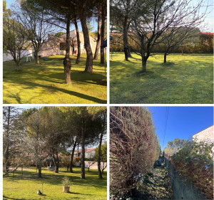 Photo de galerie - Paysagiste - Aménagement du jardin