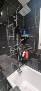 Photo de galerie - Pose d'une colonne de  douche 