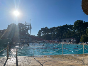 Photo de galerie - Entretien piscine