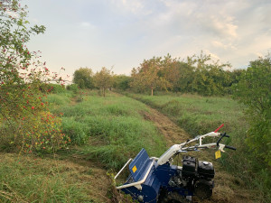 Photo de galerie - Tonte de pelouse - Débroussaillage