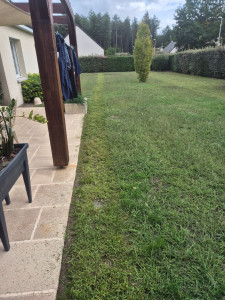 Photo de galerie - Tonte de la pelouse 