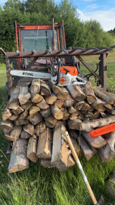 Photo de galerie - Coupe de bois 