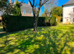 Photo de galerie - Taille de haies et d'arbustes