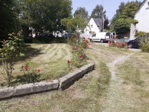 Photo de galerie - Tonte de pelouse - Débroussaillage