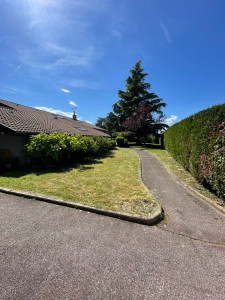 Photo de galerie - Débroussaillage et tonte 