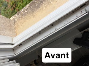 Photo de galerie - Nettoyeur de vitres