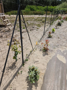 Photo de galerie - Clôture grillage souple