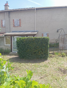 Photo de galerie - Taille de haies 