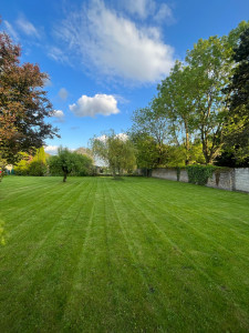 Photo de galerie - Paysagiste - Aménagement du jardin