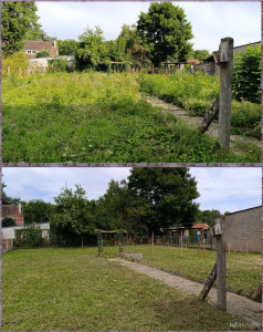 Photo de galerie - Avant après 