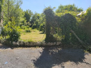 Photo de galerie - Tonte de pelouse - Débroussaillage