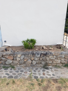 Photo de galerie - Paysagiste - Aménagement du jardin