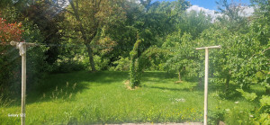 Photo de galerie - Tonte de pelouse - Débroussaillage