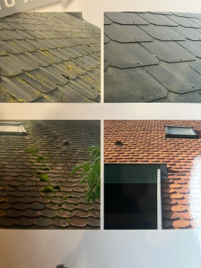 Photo de galerie - Traitement anti mousse préventif