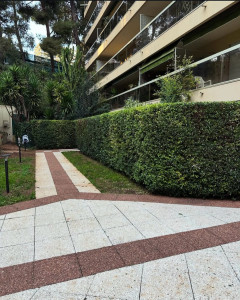 Photo de galerie - Taille de haie 