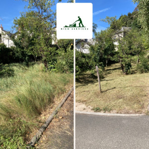 Photo de galerie - Tonte de pelouse - Débroussaillage