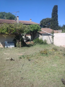 Photo de galerie - Tonte de pelouse - Débroussaillage