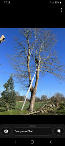 Photo de galerie - élagage possible avec ou sans nacelle et contrat annuel d’entretien possible 