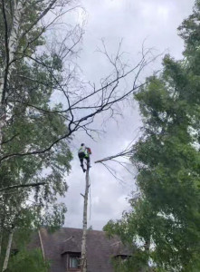 Photo de galerie - Tout pour votre jardin