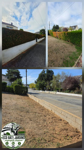Photo de galerie - Jardinier