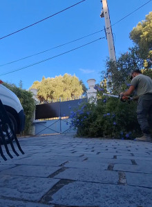 Photo de galerie - Taille de haies et d'arbustes