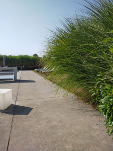 Photo de galerie - Paysagiste - Aménagement du jardin