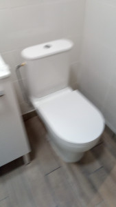 Photo de galerie - Pose complète wc