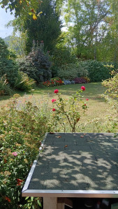 Photo de galerie - Plantation et mise en forme d'un jardin
