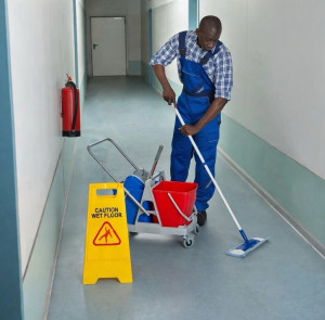 Photo de galerie - Entreprise de services à la personne et aux professionnels, spécialisée dans le nettoyage à domicile, le nettoyage professionnel, et l’aide à au quotidien hors soins. 