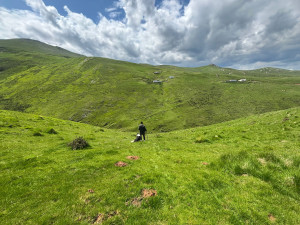Photo de galerie - Possibilité de longue balade si besoin en montagne 
Ici avec taj