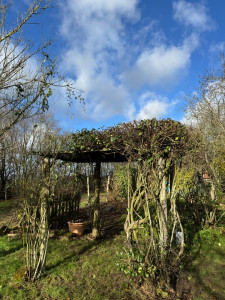 Photo de galerie - Paysagiste - Aménagement du jardin
