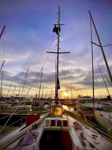 Photo de galerie - Bricolage et multi services