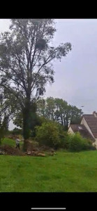 Photo de galerie - Abattage d’arbre près d’une maison 