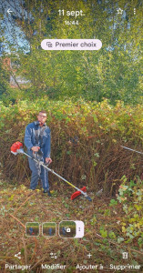 Photo de galerie - Débroussaillage de jardin 
Taillage d'arbustres ou de troènes
Tonte de pelouses