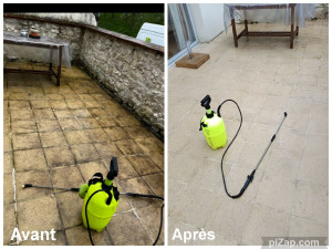 Photo de galerie - Avant et après traitement pro fongicide 
n'hésitez pas à me contacter 