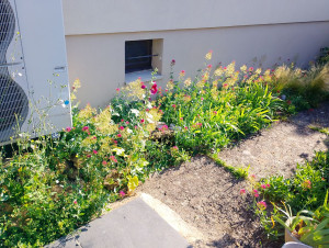 Photo de galerie - Paysagiste - Aménagement du jardin