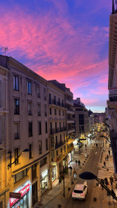 Photo de galerie - J’adore les animaux alors si besoin je me rend disponible pour vous sur Cannes et aux alentours pendant votre absence.