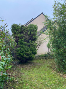 Photo de galerie - Taille de haies et d'arbustes