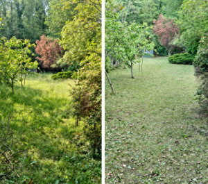 Photo de galerie - Avant et Après 
