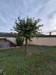 Photo de galerie - Avant