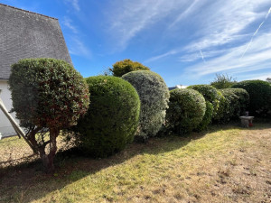 Photo de galerie - Jardinier