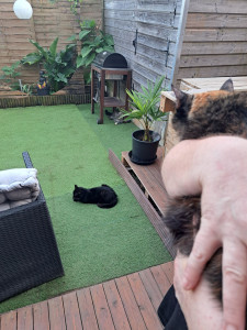 Photo de galerie - Les 3 chipies ??