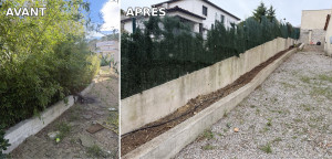 Photo de galerie - Coupe et déracinage de bambou