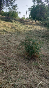 Photo de galerie - Nickel 