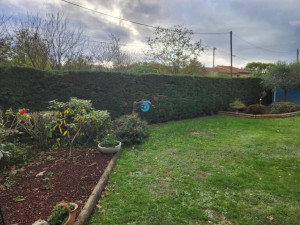 Photo de galerie - Taille de haies et d'arbustes