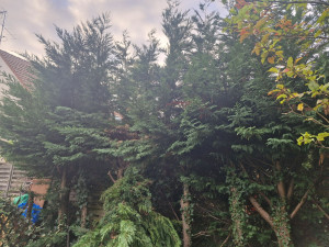 Photo de galerie - Avant 