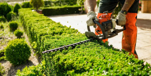 Photo de galerie - Paysagiste - Aménagement du jardin