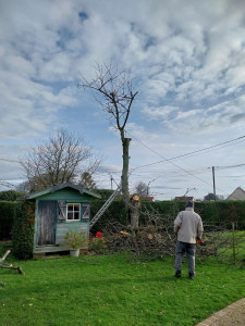 Photo de galerie - Abattage 