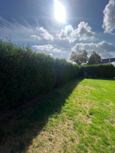 Photo de galerie - Taille de haies et d'arbustes