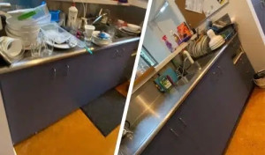 Photo de galerie - Vaisselle pour service de ménage 